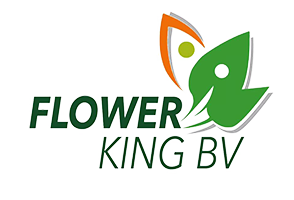 Flower King webshop